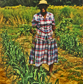 woman in a field of leeks